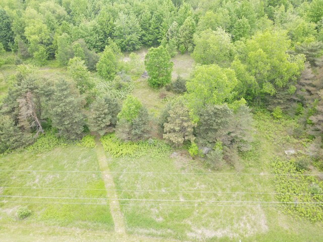 NN Colleen Dr, Cadillac, MI 49601 - photo 3