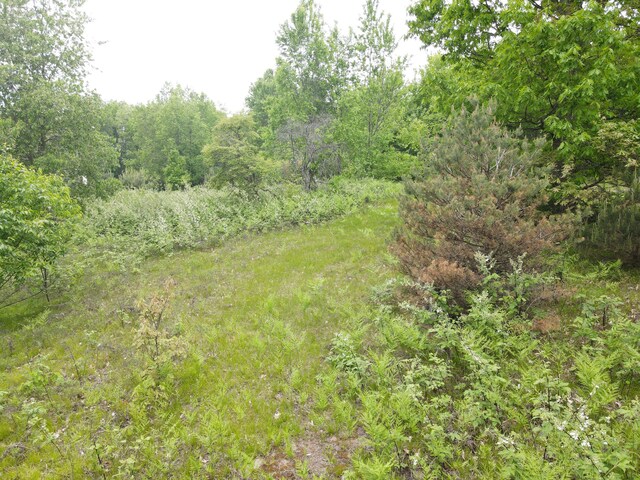 NN Colleen Dr, Cadillac, MI 49601 - photo 7