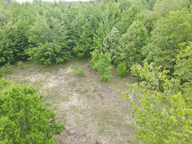 NN Colleen Dr, Cadillac, MI 49601 - photo 6