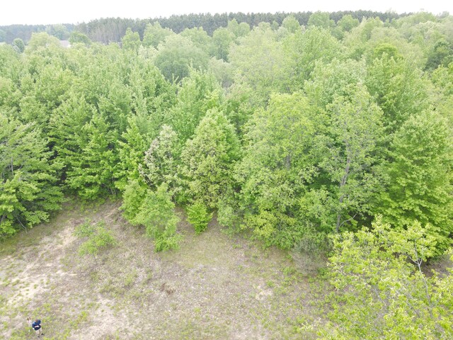 NN Colleen Dr, Cadillac, MI 49601 - photo 10