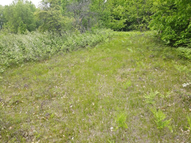 NN Colleen Dr, Cadillac, MI 49601 - photo 9