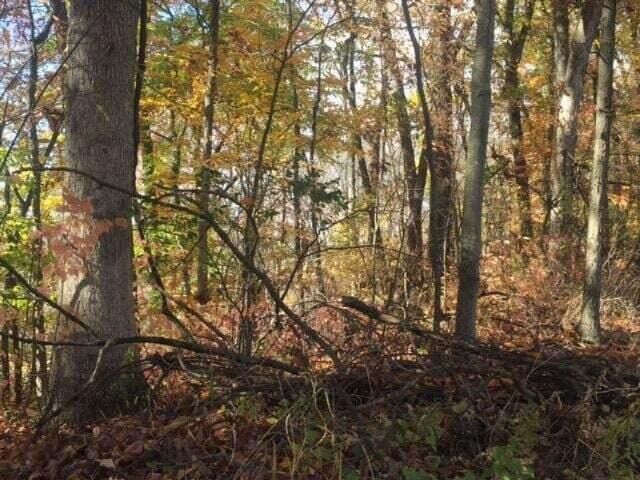 0 S Portage Rd Vl-B, Unit Vl-B Vicksburg, MI 49097
