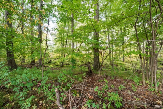 0 S Portage Rd Vl-B, Unit Vl-B Vicksburg, MI 49097