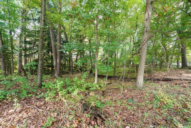 0 S Portage Rd Vl-B, Unit Vl-B Vicksburg, MI 49097