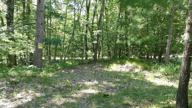 V/L Pretty Lake Dr, Mecosta, MI 49332