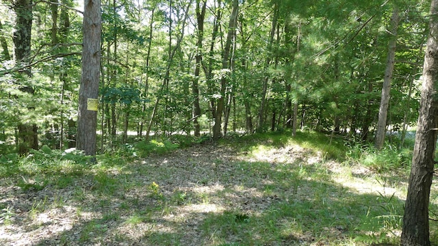 V/L Pretty Lake Dr, Mecosta MI, 49332 land for sale