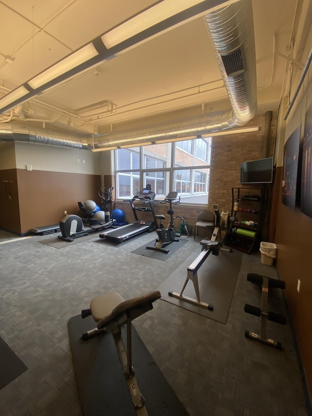 workout area featuring carpet