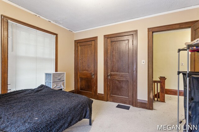 186 W 12th St, Holland, MI 49423 - carpeted bedroom featuring multiple closets, ornamental molding, and baseboards