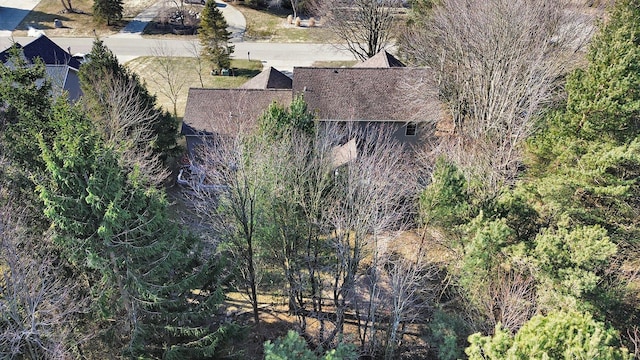 aerial view