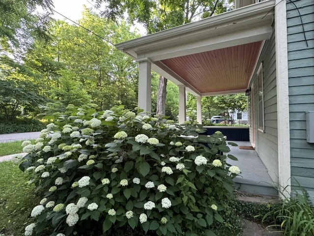 1308 Traver Rd, Ann Arbor, MI 48105 - photo 5