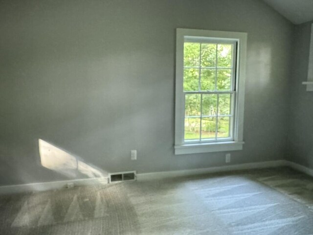 1308 Traver Rd, Ann Arbor, MI 48105 - photo 28