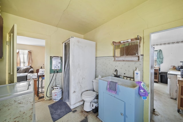 bathroom with toilet and vanity