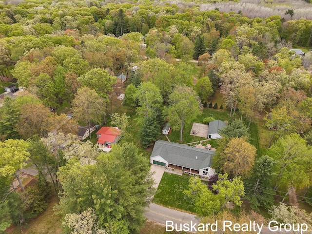 1127 Wolf Lake Dr, Baldwin, MI 49304 - aerial view of a forest