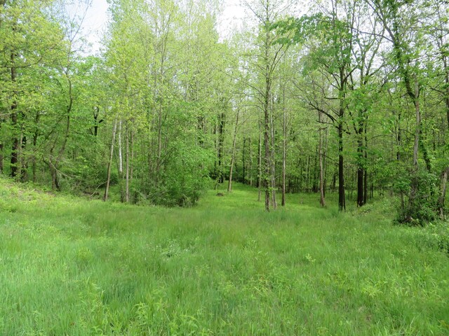 3473 Breezewood Ct SE, Kentwood, MI 49512 - photo 3