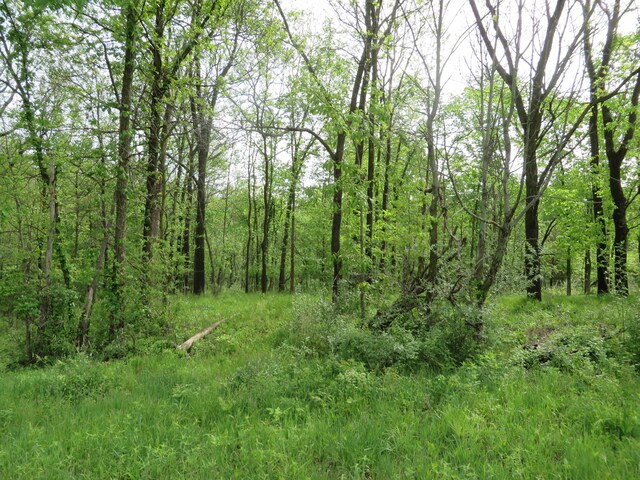 3473 Breezewood Ct SE, Kentwood, MI 49512 - photo 4