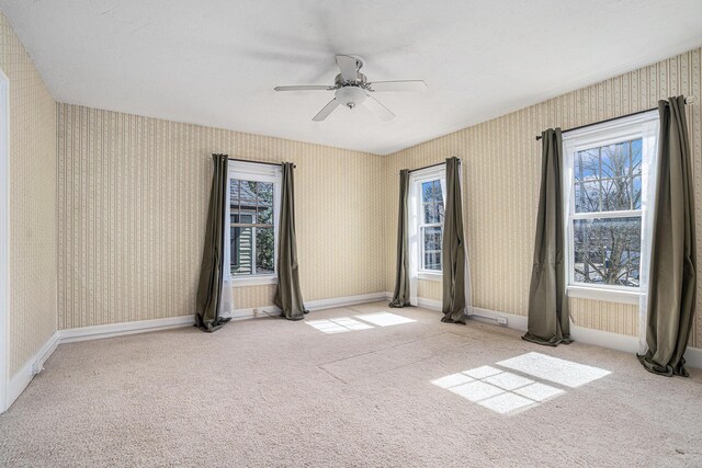 318 Cutler St, Allegan, MI 49010 - photo 19