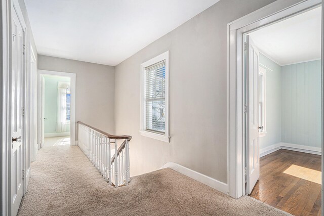 318 Cutler St, Allegan, MI 49010 - photo 25
