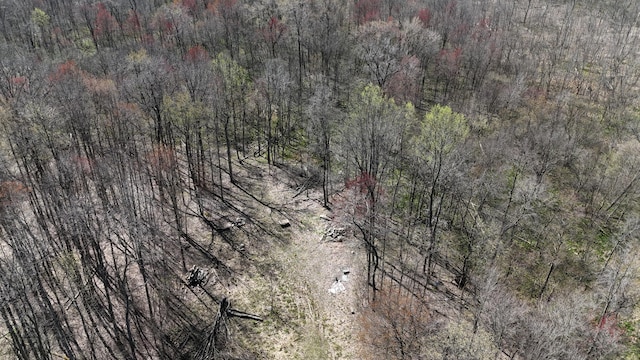Chain Lake St, Cassopolis, MI 49031