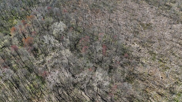 Chain Lake St, Cassopolis, MI 49031