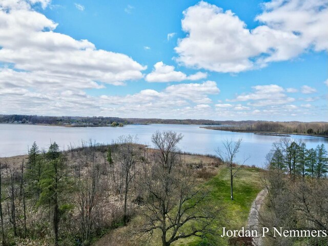 12375 Overlook Dr NE, Greenville, MI 48838