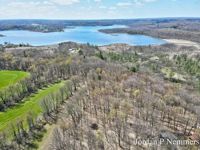 12375 Overlook Dr NE, Greenville, MI 48838