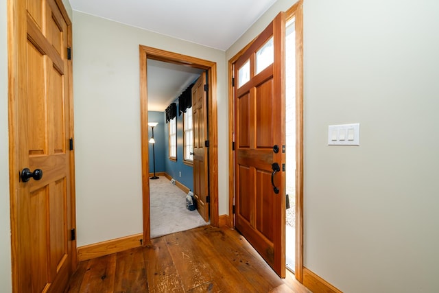 foyer featuring hardwood / wood-style flooring, baseboards, and a wealth of natural light