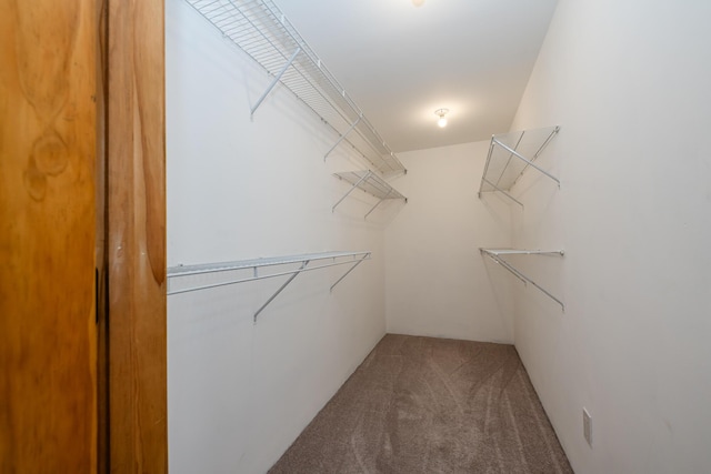 spacious closet featuring carpet floors
