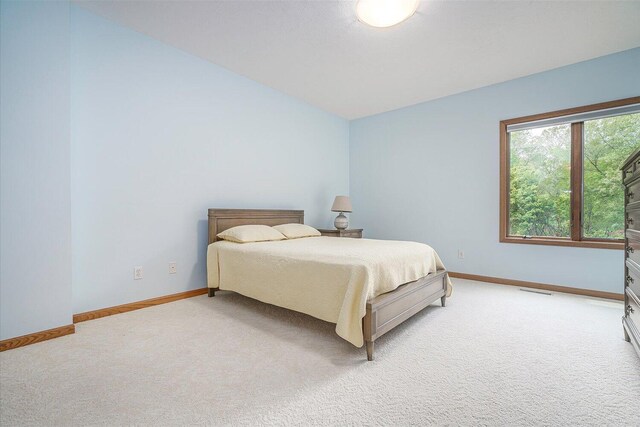 16396 M-89, Augusta, MI 49012 - photo 42