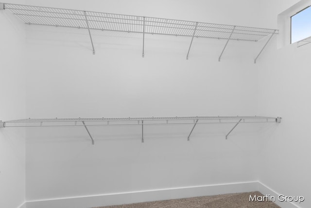 spacious closet featuring carpet floors