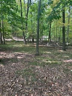 9656 N Calgary Dr, Canadian Lakes, MI 49346