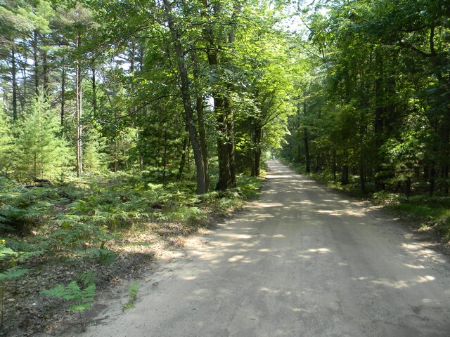 N 56th Ave Unit Parcel A, Pentwater, MI 49449 - photo 1