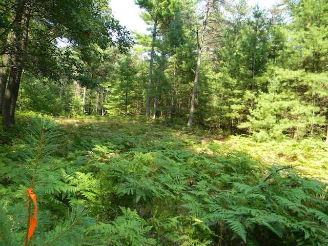 N 56th Ave Unit Parcel A, Pentwater, MI 49449 - photo 7