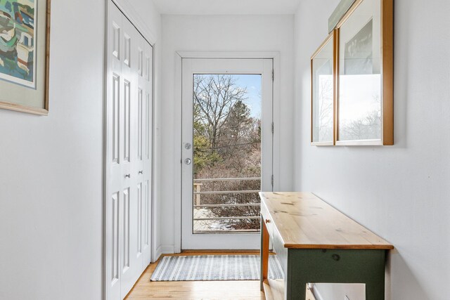 2019 Silvertip Ln, Long Beach, IN 46360 - doorway with wood finished floors