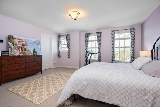 6337 S Trailwoods Dr, Ann Arbor, MI 48103 - bedroom featuring light carpet and baseboards