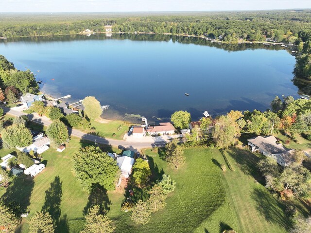 2772 S Wisner Ave, Fremont, MI 49412 - birds eye view of property with a view of trees and a water view