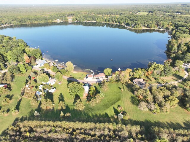 2772 S Wisner Ave, Fremont, MI 49412 - birds eye view of property featuring a water view and a wooded view