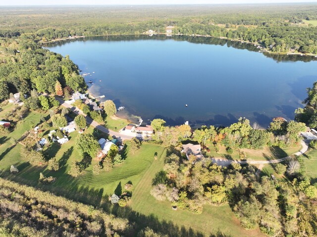 2772 S Wisner Ave, Fremont, MI 49412 - birds eye view of property with a wooded view and a water view