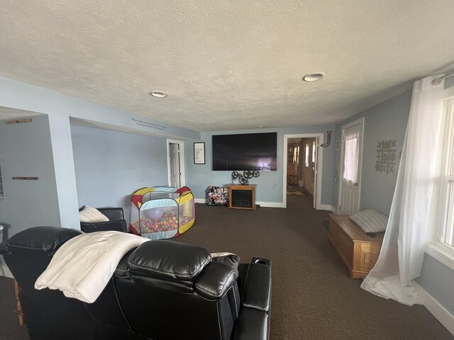2772 S Wisner Ave, Fremont, MI 49412 - carpeted living area featuring baseboards and a textured ceiling