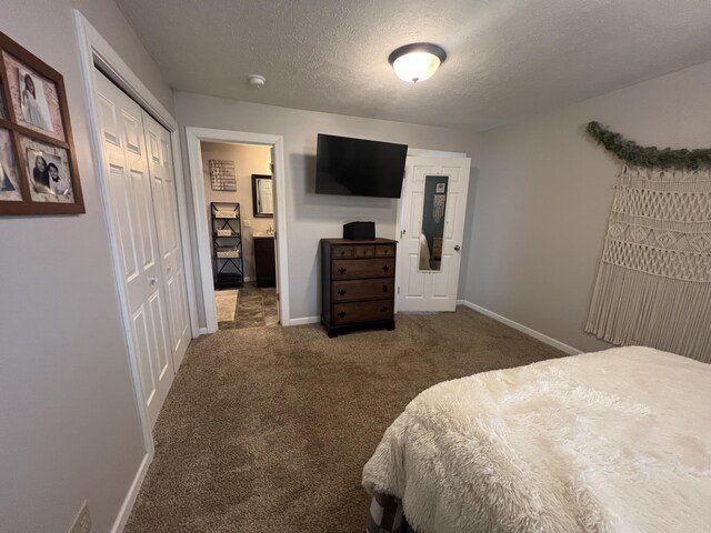 2772 S Wisner Ave, Fremont, MI 49412 - carpeted bedroom featuring a closet, a textured ceiling, and baseboards