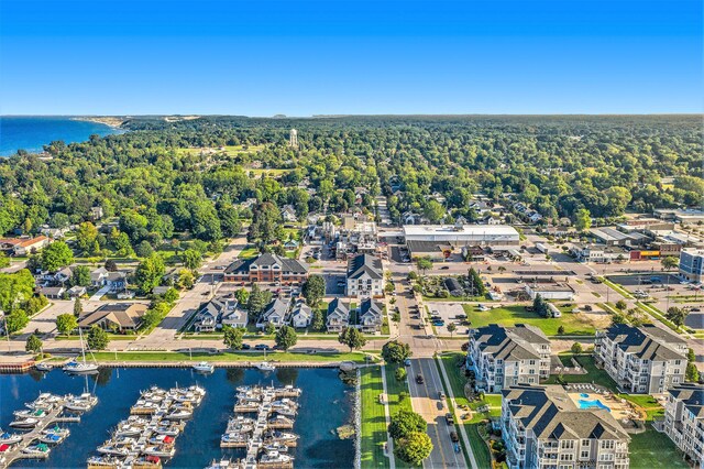 401 W Ludington Ave Unit 208, Ludington, MI 49431 - bird's eye view with a water view