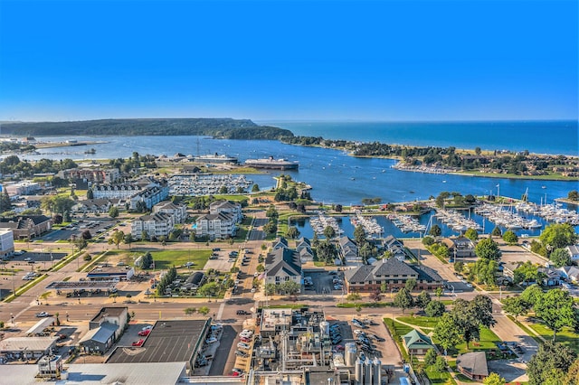 401 W Ludington Ave Unit 208, Ludington, MI 49431 - birds eye view of property with a water view