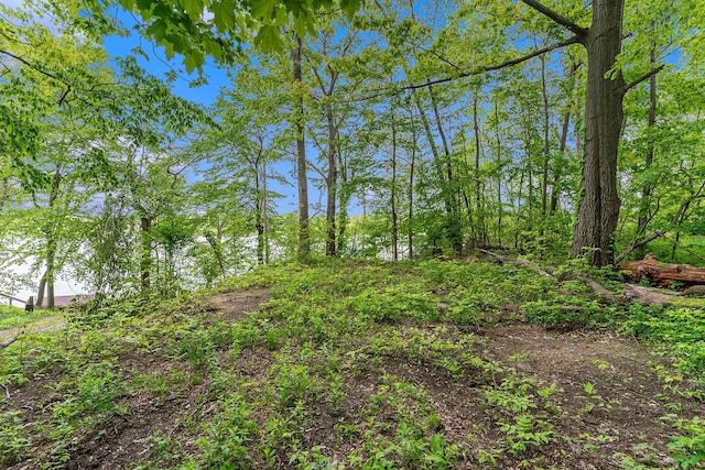 10003 Berrys Ln, Marcellus, MI 49067