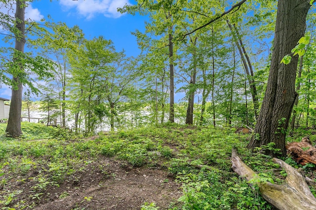 10003 Berrys Ln, Marcellus, MI 49067