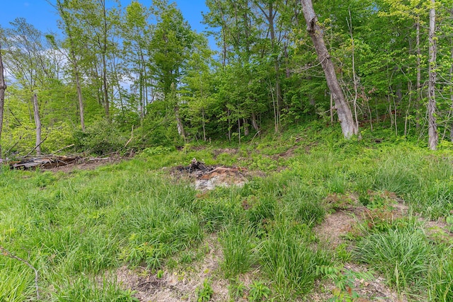 10003 Berrys Ln, Marcellus, MI 49067