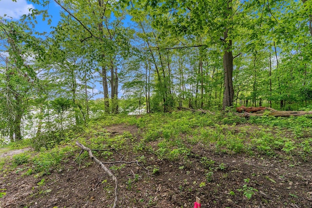 10003 Berrys Ln, Marcellus, MI 49067