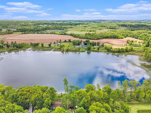 10003 Berrys Ln, Marcellus, MI 49067
