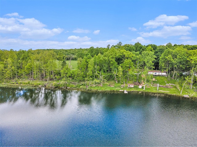 10003 Berrys Ln, Marcellus, MI 49067