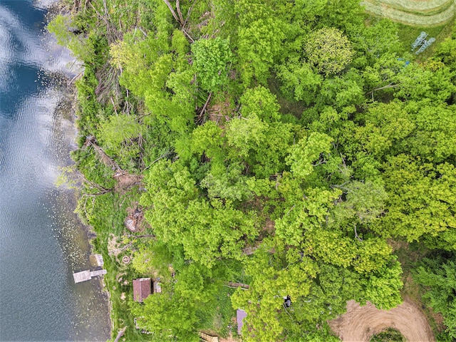 10003 Berrys Ln, Marcellus, MI 49067