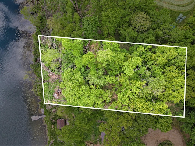 10003 Berrys Ln, Marcellus, MI 49067