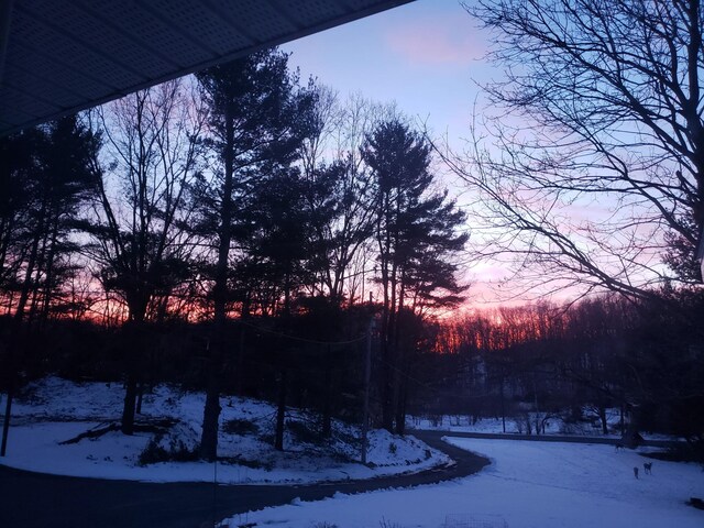view of snowy yard